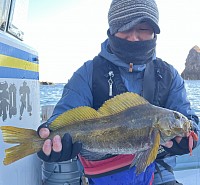 2025.03.02アイナメ51.05m